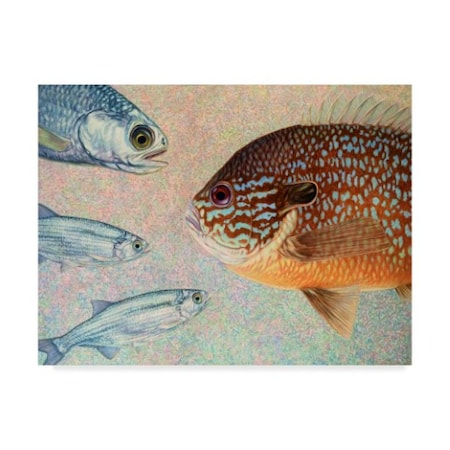 James W. Johnson 'Moon Eyes Sunfish' Canvas Art,35x47
